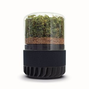 Briiv 2 Eco-Friendly Air Purifier